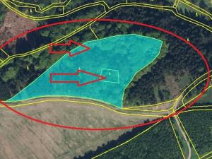 Prodej podílu lesa, Liberk, 5585 m2