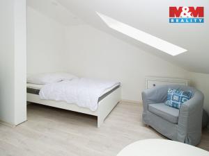 Pronájem bytu 1+kk, Opava - Město, Popská, 30 m2