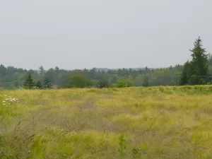 Dražba pole, Nové Strašecí, 11932 m2