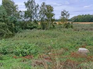 Prodej zahrady, Borek, 3737 m2