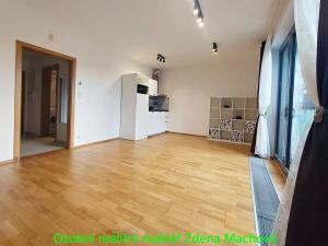 Pronájem bytu 1+kk, Praha - Žižkov, Olšanská, 41 m2