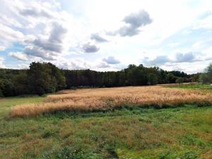 Prodej podílu pozemku pro bydlení, Doubrava, 12199 m2