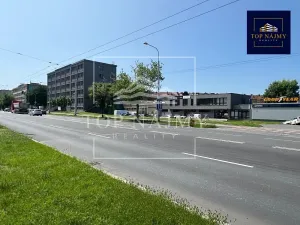 Pronájem výrobních prostor, Ostrava, Novinářská, 2000 m2