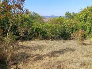Prodej rodinného domu, Medovo, Bulharsko, 36 m2