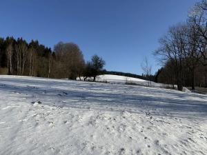 Prodej zemědělské usedlosti, Sněžné, 200 m2