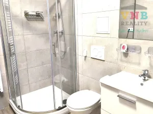 Pronájem bytu 1+kk, Prostějov, Wolkerova, 50 m2