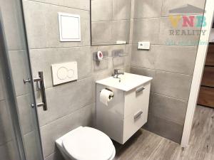 Pronájem bytu 1+kk, Prostějov, Wolkerova, 50 m2