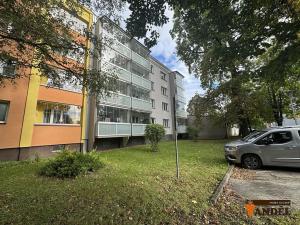 Prodej bytu 2+1, Ostrava, Hasičská, 51 m2