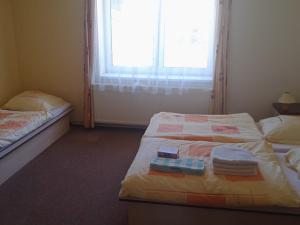 Prodej rodinného domu, Zásada, 600 m2