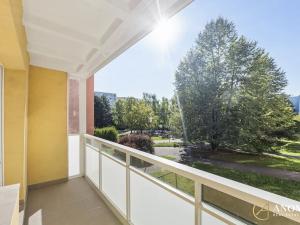 Prodej bytu 2+1, Brno, Krymská, 54 m2
