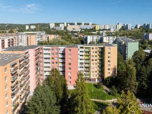Prodej bytu 2+1, Brno, Krymská, 54 m2