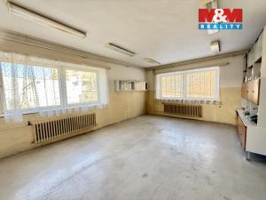 Prodej obchodního prostoru, Kostelec nad Orlicí, Mánesova, 207 m2