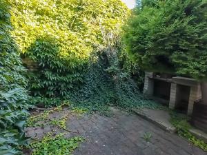 Prodej atypického bytu, Jihlava, Václavkova, 256 m2