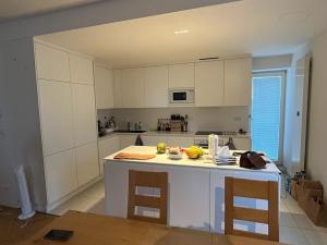Pronájem bytu 4+kk, Brno, Havlíčkova, 128 m2