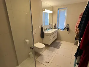 Pronájem bytu 4+kk, Brno, Havlíčkova, 128 m2