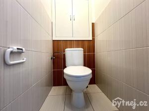 Pronájem bytu 1+1, Olomouc - Nové Sady, Družební, 36 m2