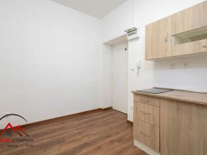 Pronájem bytu 1+1, Ostrava, Mariánskohorská, 32 m2