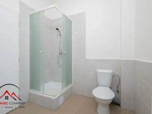 Pronájem bytu 1+1, Ostrava, Mariánskohorská, 32 m2