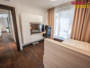 Prodej bytu 4+kk, Brno, Spálená, 129 m2