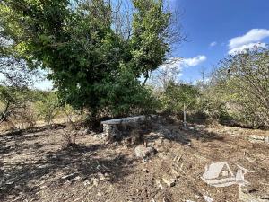 Prodej rodinného domu, General Toševo, Bulharsko, 75 m2