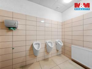 Prodej restaurace, Děčín - Děčín IV-Podmokly, Teplická, 1000 m2