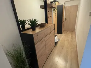 Pronájem bytu 2+1, Meziboří, Hornická, 60 m2