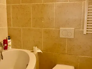 Pronájem bytu 1+kk, Praha - Košíře, Vrchlického, 20 m2