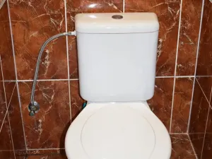 Prodej podílu vícegeneračního domu, Novosedly, 180 m2