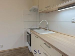 Pronájem bytu 1+1, Jílové, Oblouková, 36 m2