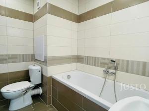Pronájem bytu 2+1, Teplice, Alejní, 50 m2