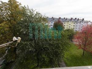 Prodej bytu 1+1, Ostrava, Newtonova, 45 m2