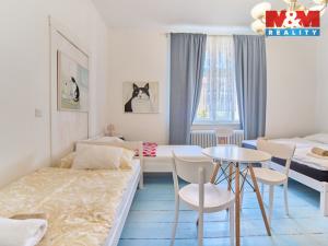 Pronájem bytu 1+kk, Opočno, Nádražní, 22 m2