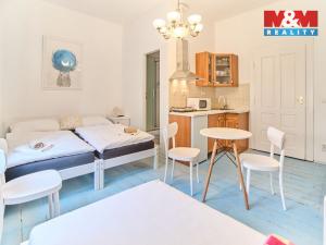 Pronájem bytu 1+kk, Opočno, Nádražní, 22 m2