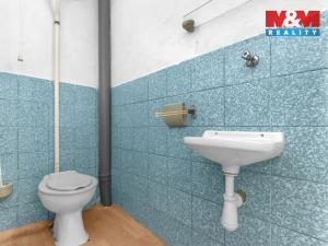 Prodej zemědělské usedlosti, Hlinsko - Blatno, 158 m2