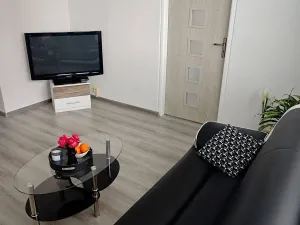 Prodej bytu 2+1, České Budějovice, L. M. Pařízka, 50 m2