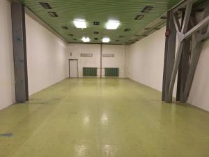 Pronájem skladu, Brno, Jana Babáka, 100 m2