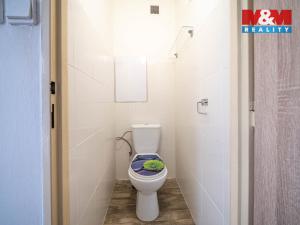 Prodej bytu 3+1, Hradec Králové - Slezské Předměstí, Polní, 60 m2