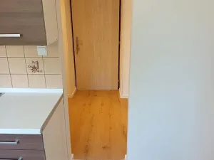 Pronájem bytu 1+1, Litvínov, Horská, 33 m2
