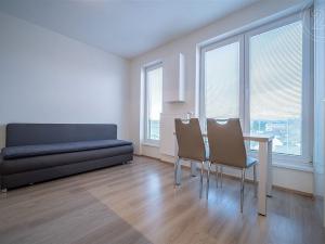 Pronájem bytu 1+kk, České Budějovice - České Budějovice 7, Lidická tř., 27 m2