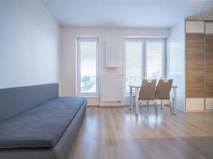 Pronájem bytu 1+kk, České Budějovice - České Budějovice 7, Lidická tř., 27 m2