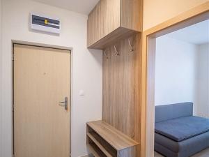 Pronájem bytu 1+kk, České Budějovice - České Budějovice 7, Lidická tř., 27 m2