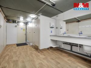 Pronájem kanceláře, Nymburk, Maršála Koněva, 45 m2
