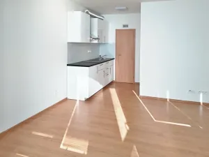 Pronájem bytu 1+kk, Praha - Hostivař, Rychtáře Petříka, 44 m2