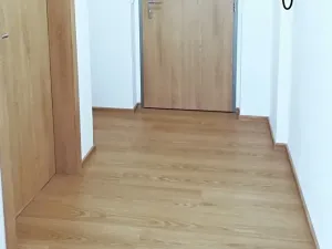 Pronájem bytu 1+kk, Praha - Hostivař, Rychtáře Petříka, 44 m2