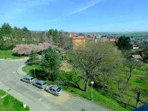 Pronájem bytu 2+1, Uherský Brod, Šaripova, 54 m2