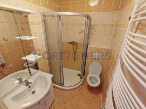 Pronájem bytu 2+1, Olomouc, Blažejské náměstí, 65 m2
