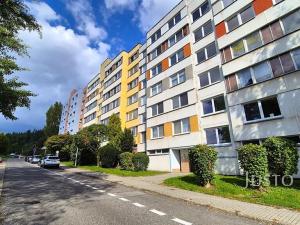 Pronájem bytu 3+1, Písek, K Háječku, 71 m2