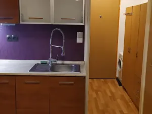 Pronájem bytu 1+kk, Olomouc, Kavaleristů, 36 m2