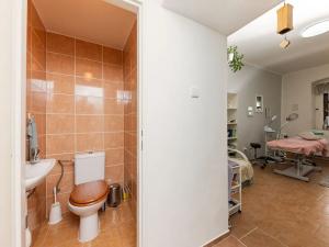 Prodej rodinného domu, Sklené nad Oslavou, 330 m2