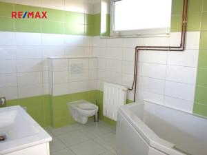 Pronájem bytu 3+1, Zruč-Senec, Plzeňská, 150 m2